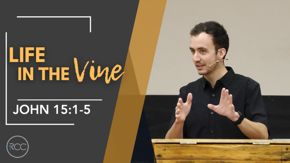 Life In The Vine Image